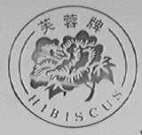 芙蓉