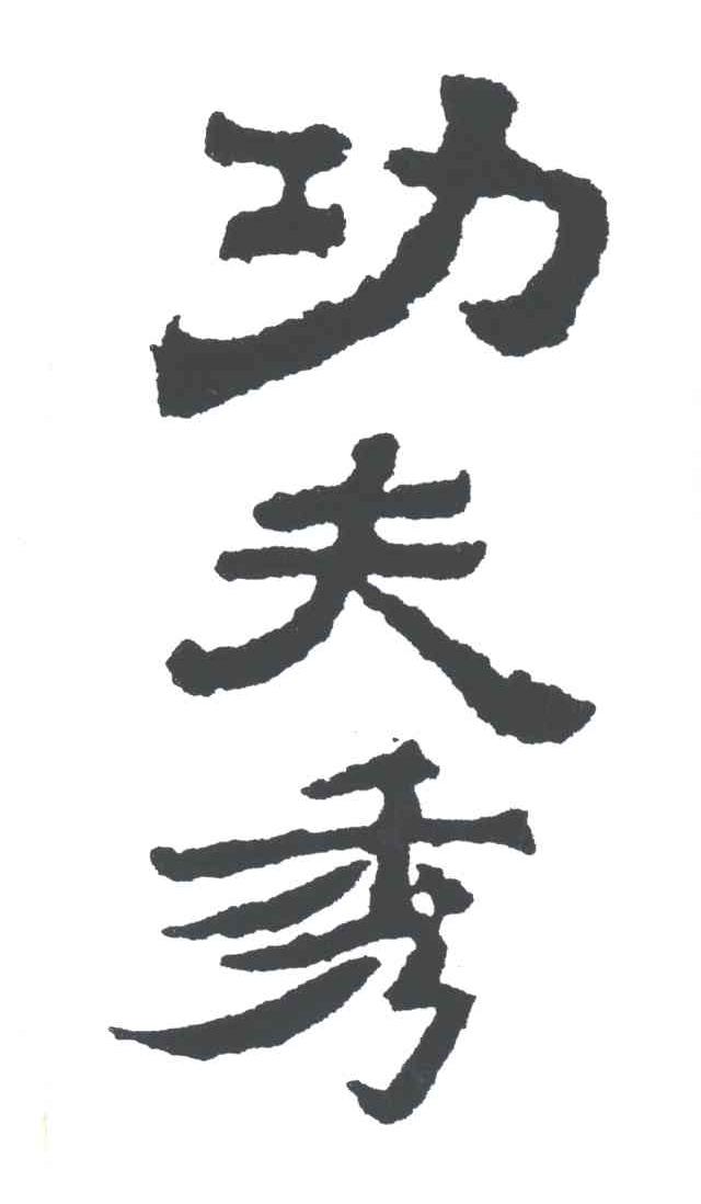 功夫秀