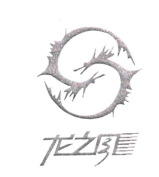 龙之风