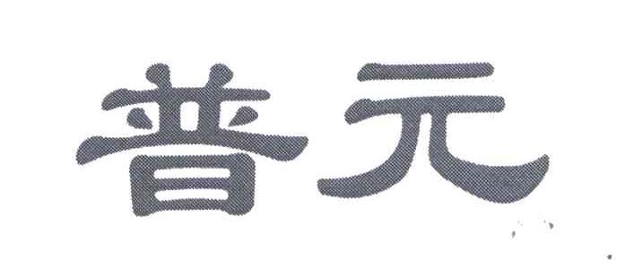 普元