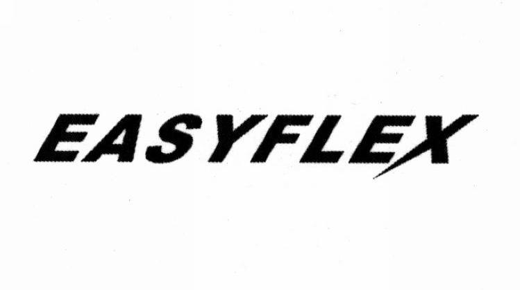 EASYFLEX