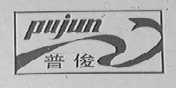 普俊