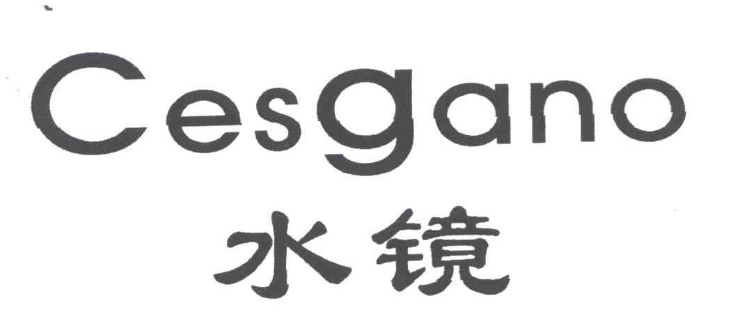 水镜;CESGANO