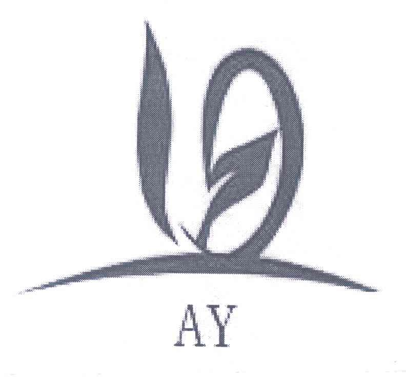 AY