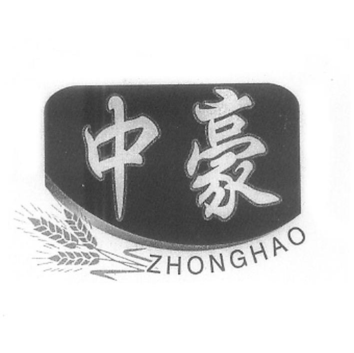 中豪