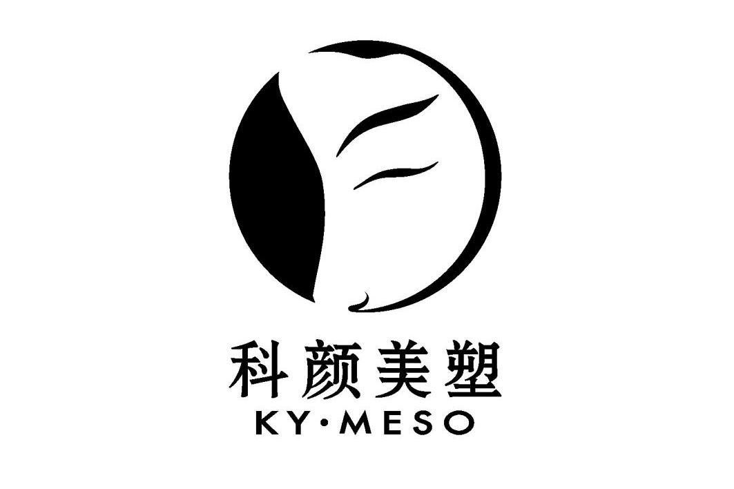 科颜美塑 KY&middot;MESO