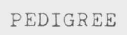 PEDIGREE