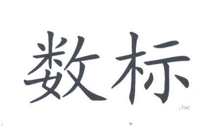 数标