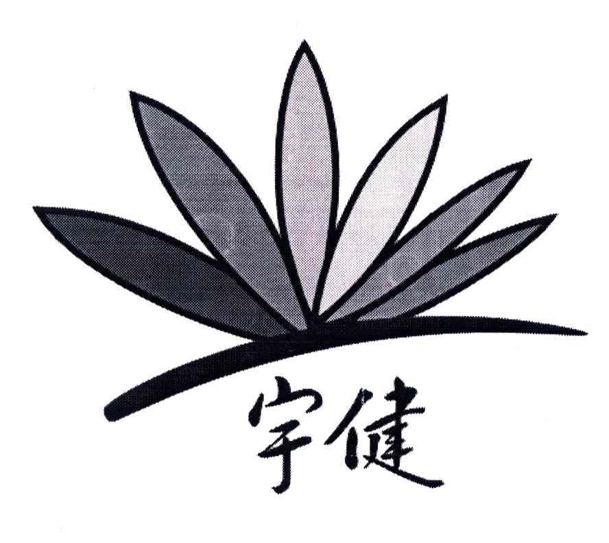 宇健