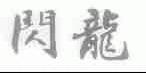 闪龙
