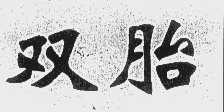 双胎