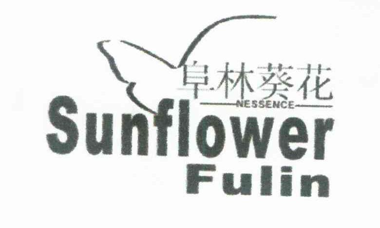 阜林葵花 NESSENCE SUNFLOWER FULIN