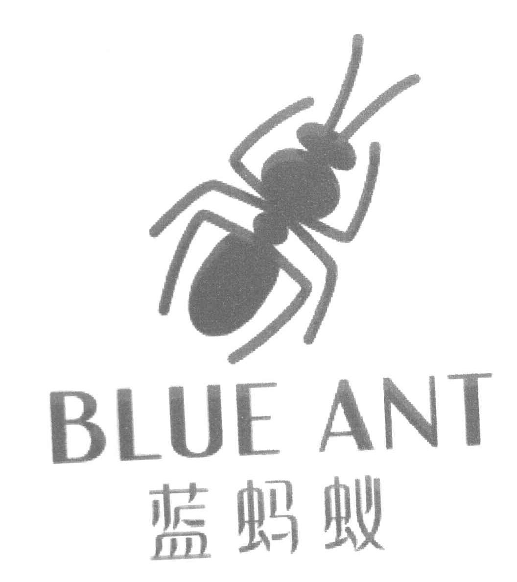 蓝蚂蚁 BLUE ANT