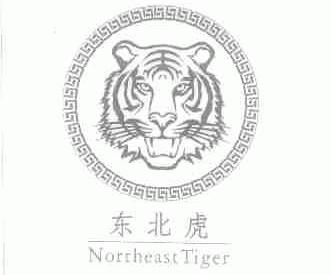 东北虎;NORTHEAST TIGER