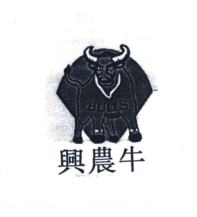 兴农牛;BULLS