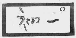 初一