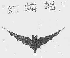 红蝙蝠