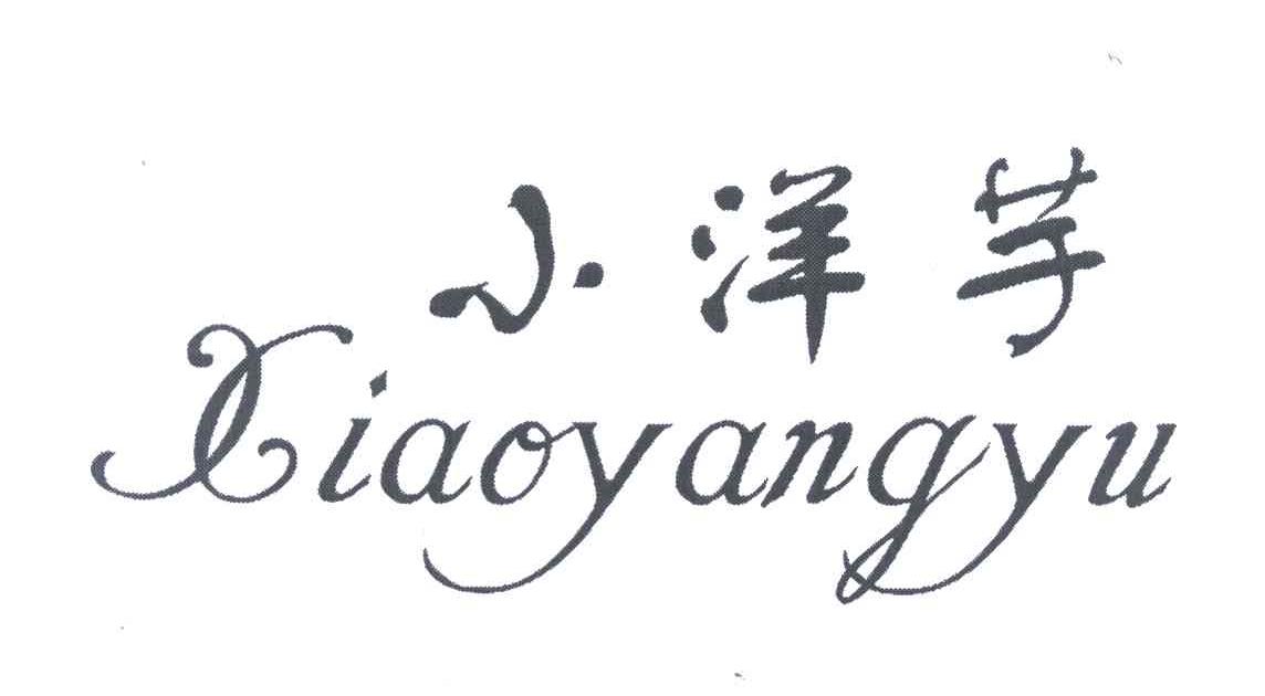 小洋芋