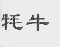 牦牛