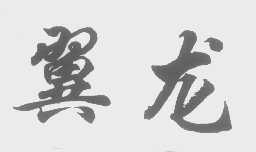 翼龙