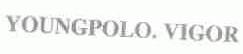 YOUNGPOLO.VIGOR