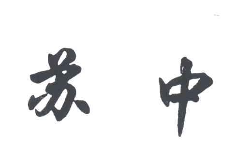 苏中