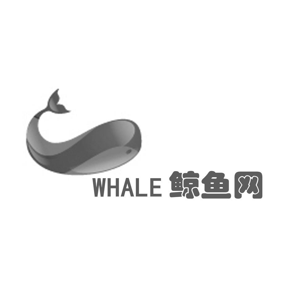 鲸鱼网 WHALE