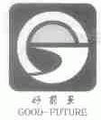 好前景;GOOD-FUTURE