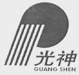 光神