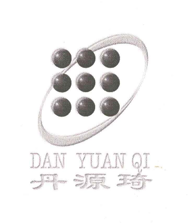 丹源琦;DAN YUAN QI