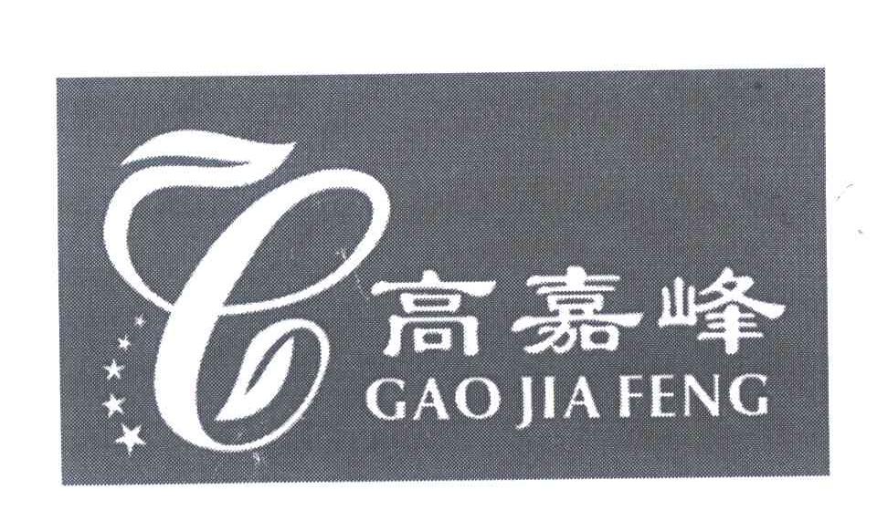 高嘉峰 G