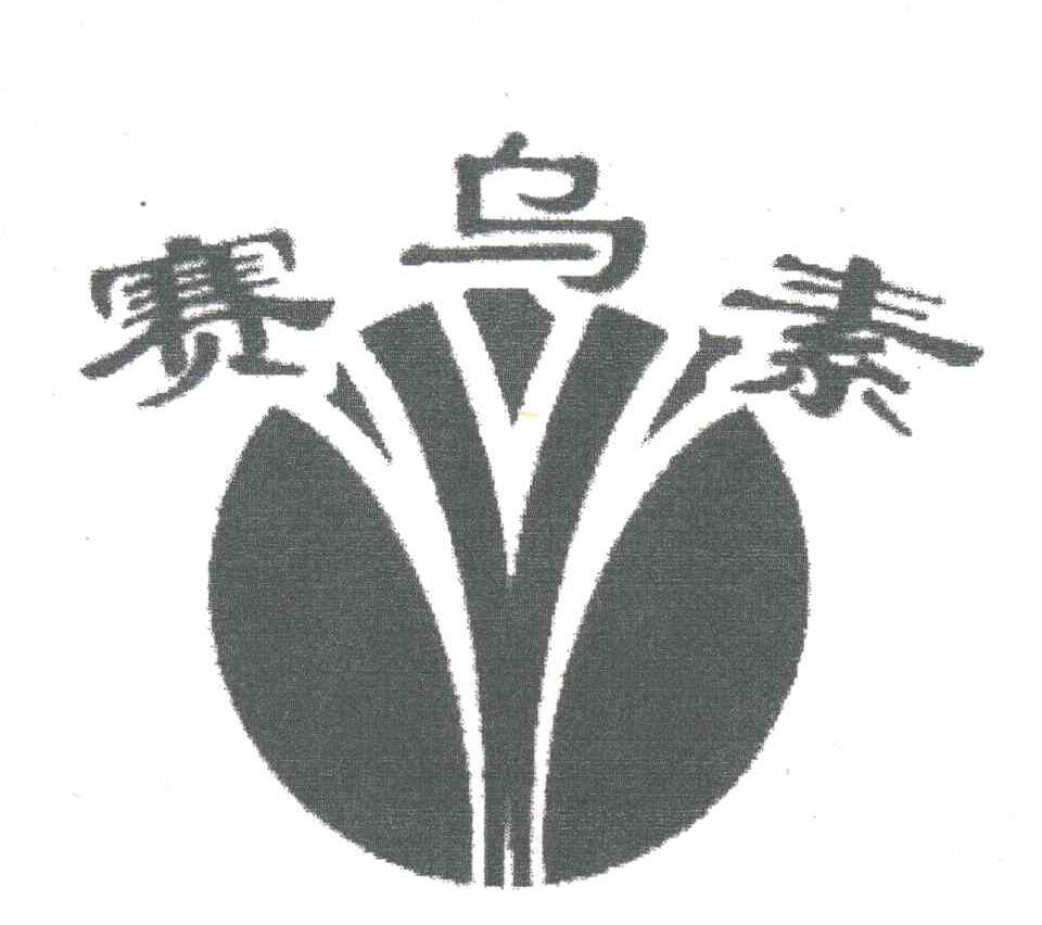 赛乌素