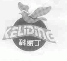 科丽丁