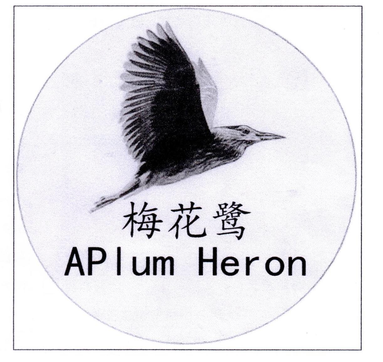 梅花鹭 APLUM HERON