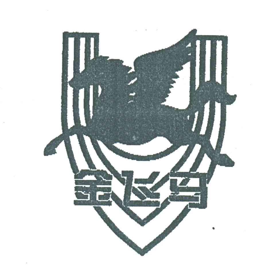 金飞马