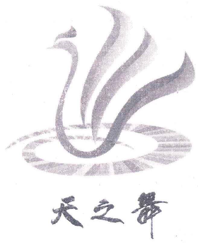 天之舞