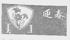 迎春