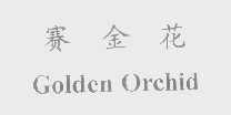 赛金花   GOLDEN ORCHID