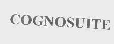 COGNOSUITE