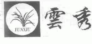 云秀