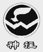 神往