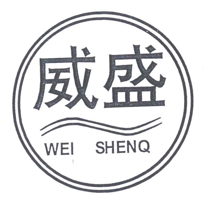 威盛;WEISHENQ