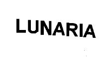 LUNARIA