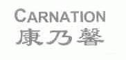康乃馨;CARNATION