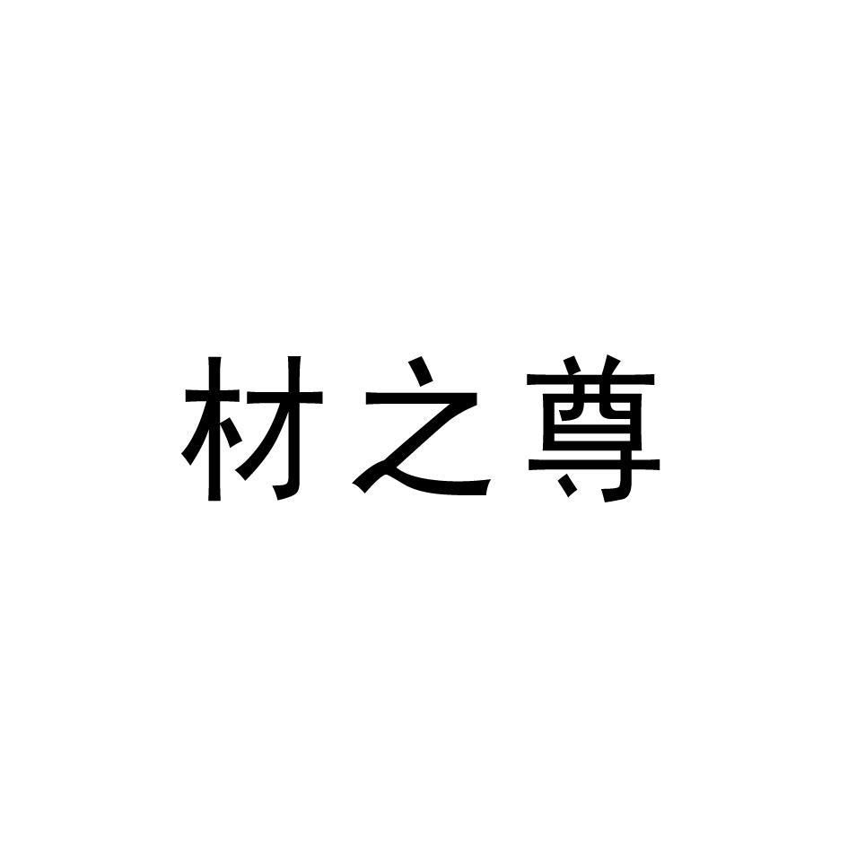 材之尊
