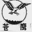 苍鹰