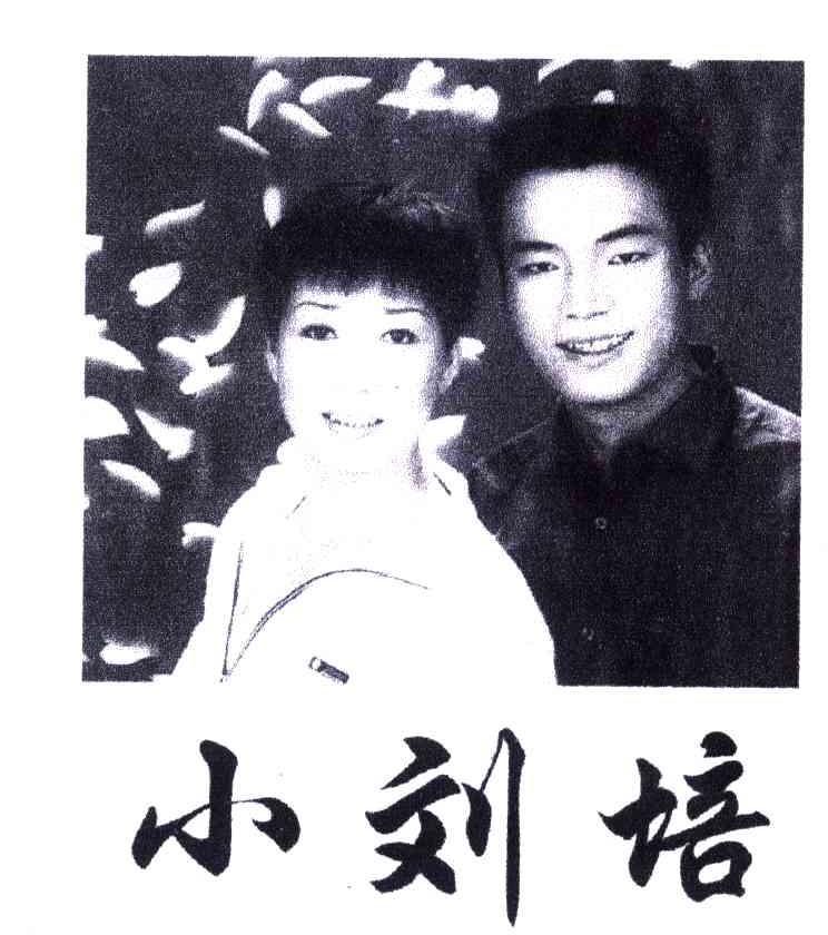 小刘培