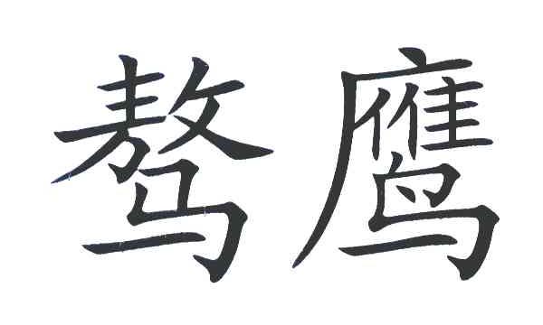 骜鹰