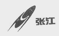 张江