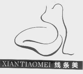 线条美